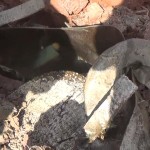 غاز الكلور السام .. كفرزيتا حماة 10 نيسان 2015