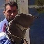 محمد الموسى