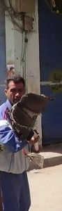 محمد الموسى