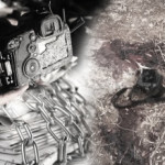 media-nov-300×219
