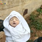 الرضيعة