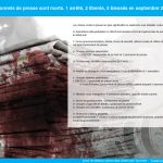 8 personnels de presse sont morts. 1 arrêté, 2 liberés, 5 blessés en septembre 2015.