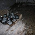 المعرة
