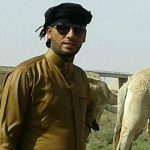 حسن الهويدي