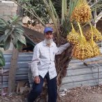 فريد البويضاني